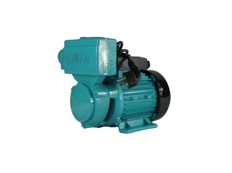 POMPA HYDROFOROWA WZ 250 POMPA HYDROFOROWA WZ 250