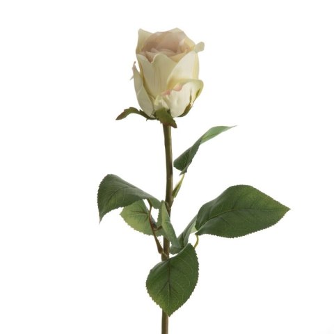 KWIAT NATU 436 68 CM KREMOWY EUROFIRANY KWIAT NATU 436 68 CM KREMOWY EUROFIRANY