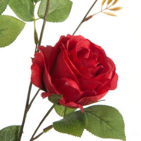KWIAT NATU 450 88 CM CZERWONY EUROFIRANY KWIAT NATU 450 88 CM CZERWONY EUROFIRANY