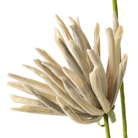 KWIAT FLORE 779 90 CM KREMOWY EUROFIRANY KWIAT FLORE 779 90 CM KREMOWY EUROFIRANY