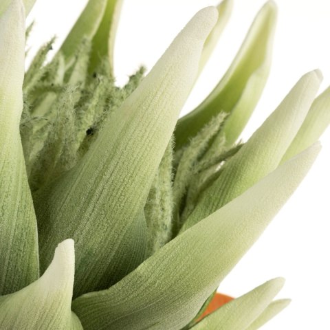 KWIAT FLORE 792 76 CM ZIELONY EUROFIRANY KWIAT FLORE 792 76 CM ZIELONY EUROFIRANY