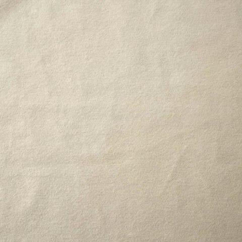ZASŁONA GOTOWA D91 ROSA 140 X 250 CM KREMOWY EUROFIRANY ZASŁONA GOTOWA D91 ROSA 140 X 250 CM KREMOWY EUROFIRANY