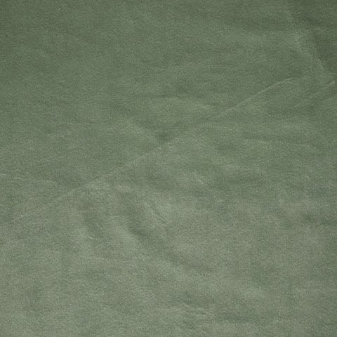 ZASŁONA GOTOWA D91 ROSA 140 X 250 CM OLIWKOWY EUROFIRANY ZASŁONA GOTOWA D91 ROSA 140 X 250 CM OLIWKOWY EUROFIRANY