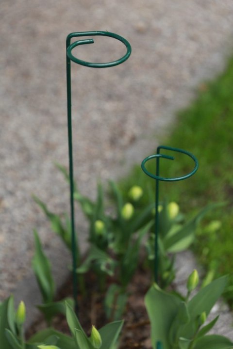 PODPORA DO ROŚLIN OCZKO 90CM PODPORA DO ROŚLIN OCZKO 90CM