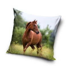Poszewka mikrofibra 40x40 Koń Carbotex