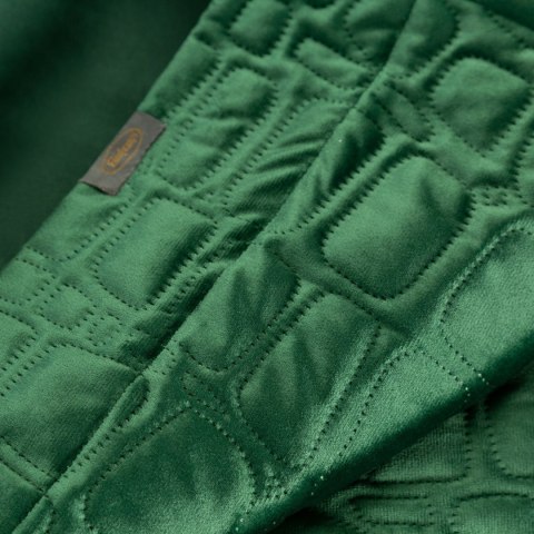 LC/SALVIA7/NAR 280X260 C.ZIE LC/SALVIA7/NAR 280X260 C.ZIE