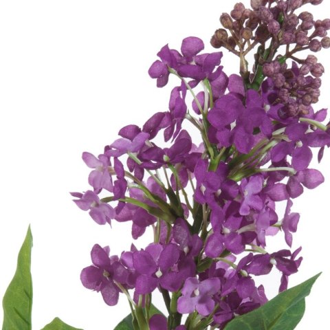 KWIAT NATU 387 63 CM FIOLETOWY EUROFIRANY KWIAT NATU 387 63 CM FIOLETOWY EUROFIRANY