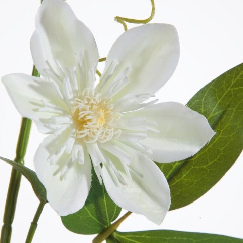 KWIAT NATU 393 85 CM KREMOWY EUROFIRANY KWIAT NATU 393 85 CM KREMOWY EUROFIRANY