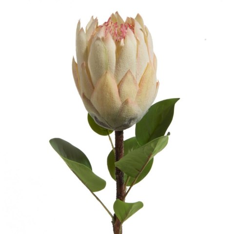 KWIAT NATU 358 66 CM KREMOWY EUROFIRANY KWIAT NATU 358 66 CM KREMOWY EUROFIRANY
