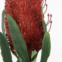 KWIAT NATU 336 63 CM CEGLASTY EUROFIRANY