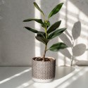 CERAMIKA FI 17 X 14 CM KREMOWY EUROFIRANY