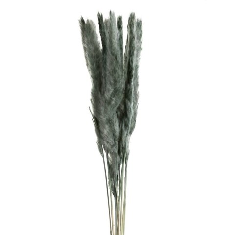 KWIAT NATURA 10 75 CM MIĘTOWY EUROFIRANY KWIAT NATURA 10 75 CM MIĘTOWY EUROFIRANY