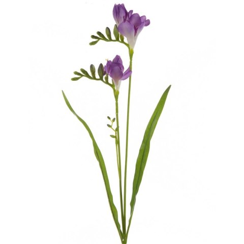KWIAT NATU 340 60 CM FIOLETOWY EUROFIRANY KWIAT NATU 340 60 CM FIOLETOWY EUROFIRANY