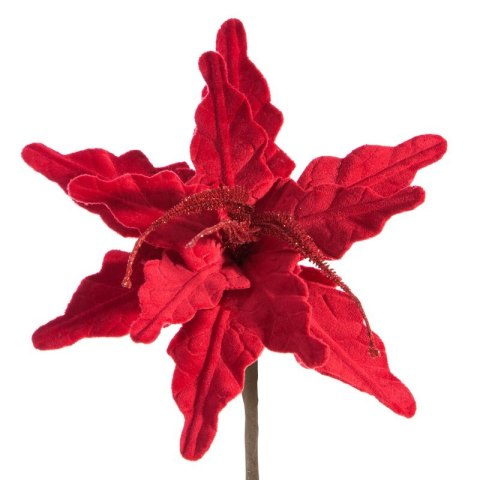 KWIAT ŚWIĄTECZNY DEKORACYJNY 72B 25 CM CZERWONY EUROFIRANY KWIAT ŚWIĄTECZNY DEKORACYJNY 72B 25 CM CZERWONY EUROFIRANY